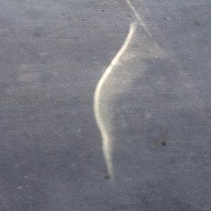 Meet your Posher, Frank